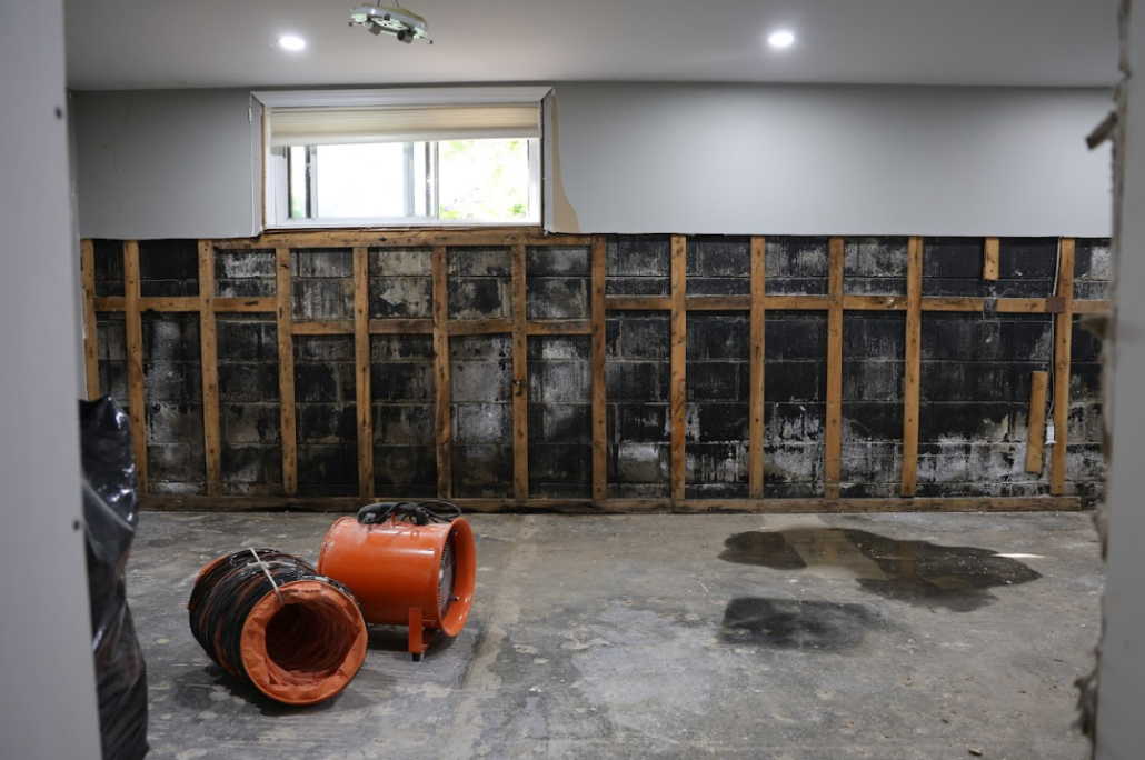 Black mold on basement walls